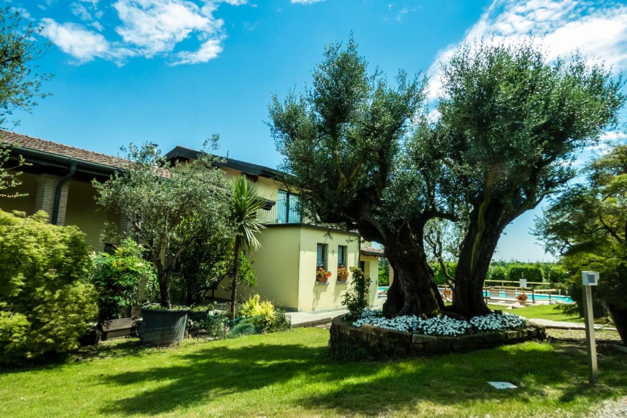 Agriturismo" Il Glicine Bianco" Monzambano Exterior foto
